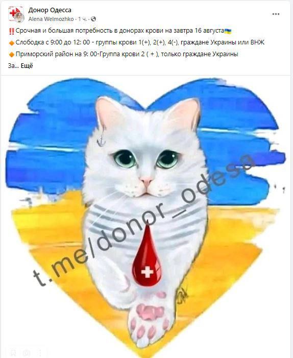 ��� ��������� ������ �� ����������: �������� �������� 41 ���� �� ����������� ������� �� ������������� ������� ������� ����� � ������