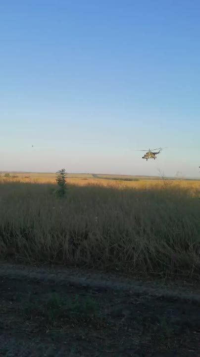 � ������ �����! ����� ���� �������!