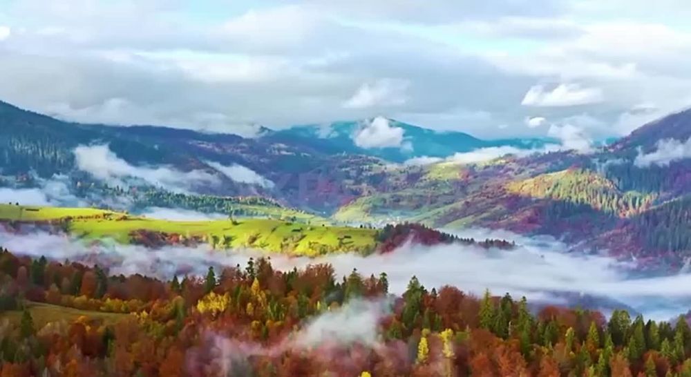 ������� ���� ����������, ���������� ���� ������� "#����������������������?"