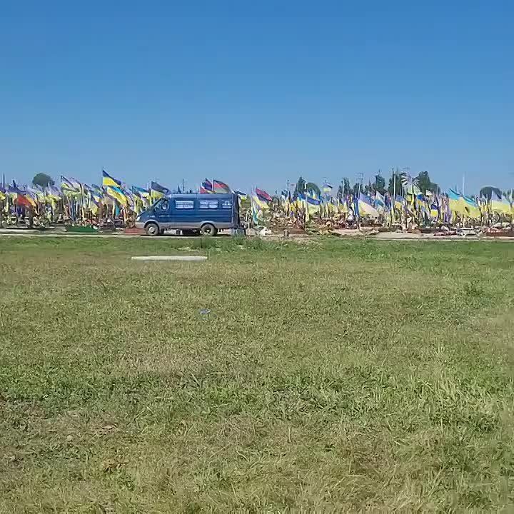              -