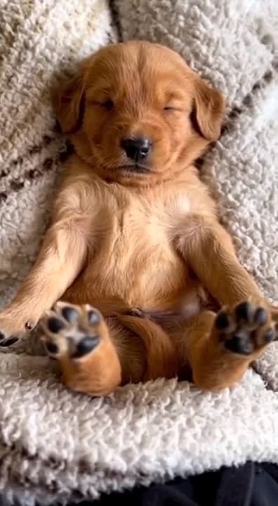 ������ ����, ������� ����������!