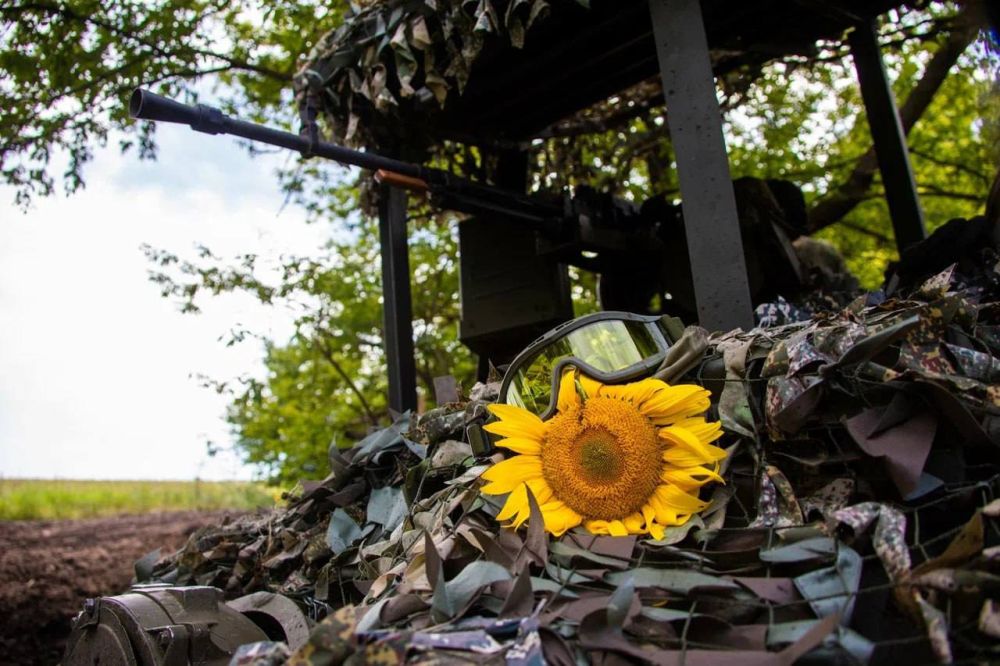 ������� �������� ��������