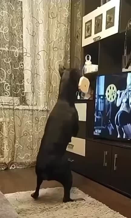 � ������ �����! �������� ��� ��������!