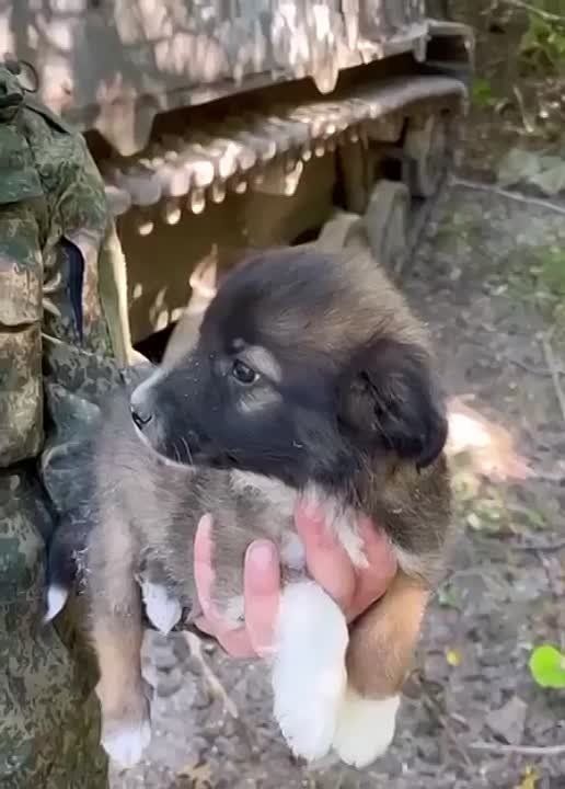 ������� � �������� "�������" ������ ���� ������� ����! ���� �� �������!!!