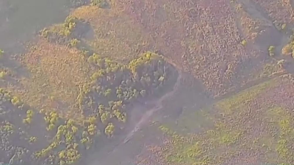 ���������� ��� �������� ��� ���������� � ������� ������� ��������� �� ������ � ���������� ����������� �� @razved_dozor