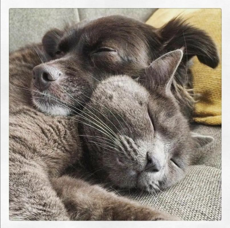 ������ ����! �������� � �������� ���