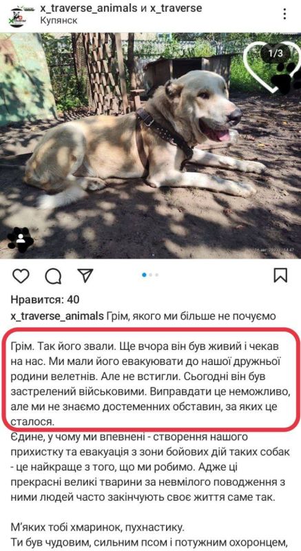 ������� ��� ������� �������� � ���� ��������� �� ��������