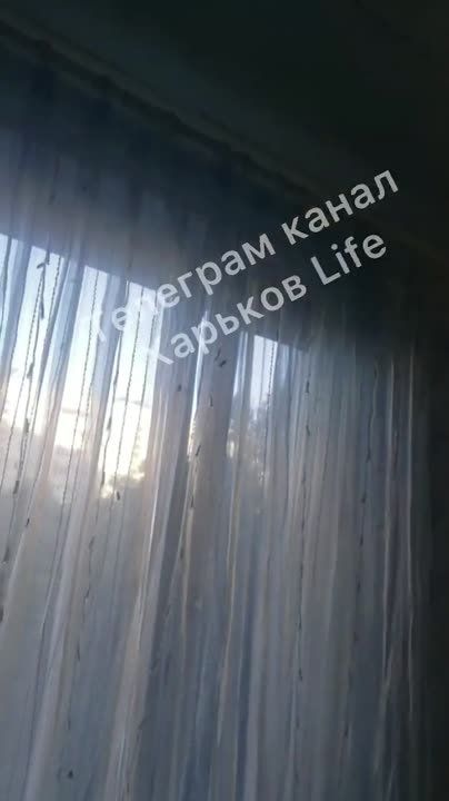 Нашествие мотыльков в Харькове