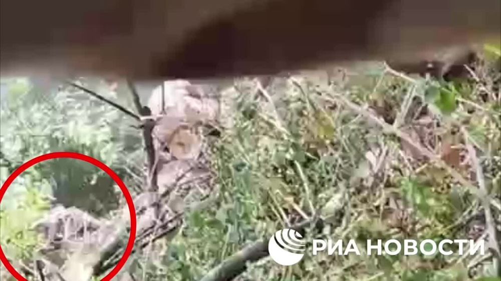 ��� ��������� �������� ��������� ��� ���������� ������ �� �����