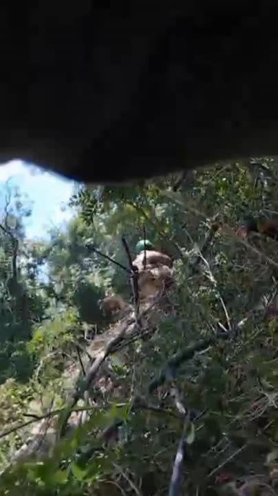 ��������� �����������. � ���� ���������������� �����, �� ������� ������� �������� ��� ������ ����� �� ������ �������� ������������. ��������, ��� ����� ������� �� ������� ���������� ������ � ����� �������������