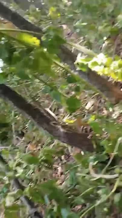 �������� ��� ���������� ������ �����, ������� ��������� ����������� ������� ��� ���������