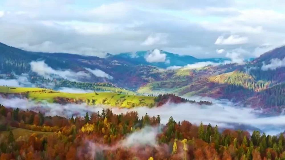 ������� ���� ����������, ���������� ���� ������� "#����������������������?"