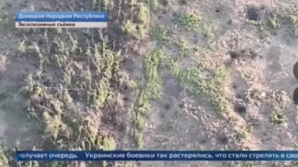 ������ �� � ������. ���� ���-�� ����� ��������� ��� �������� ������� ������ ��� ������� ������, �� ���������� �� �����, ���������� ������ �������������