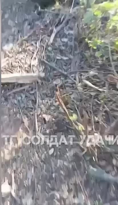  :        