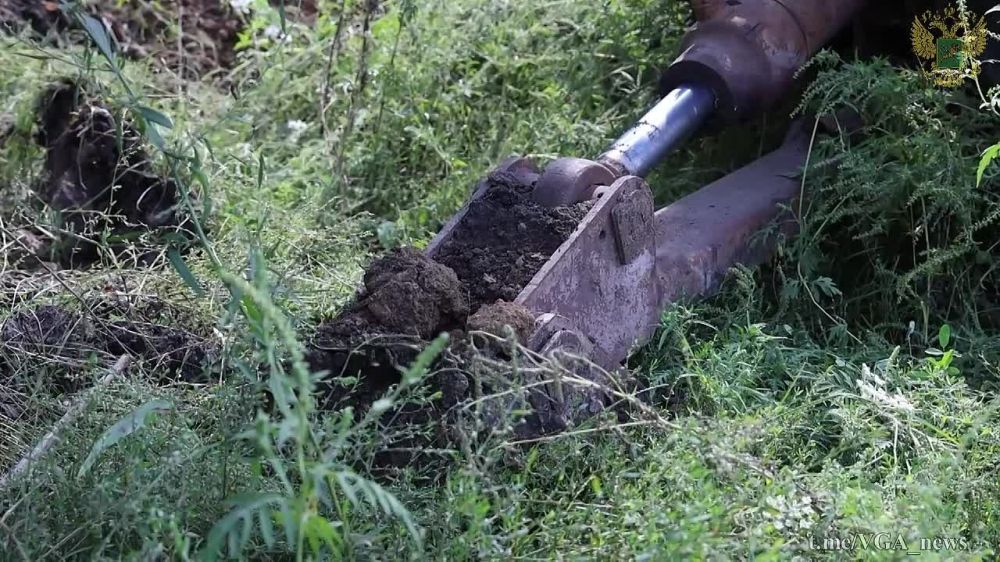 � ����� �� �������� ����������� ������� ������������ ������ ����� �����������