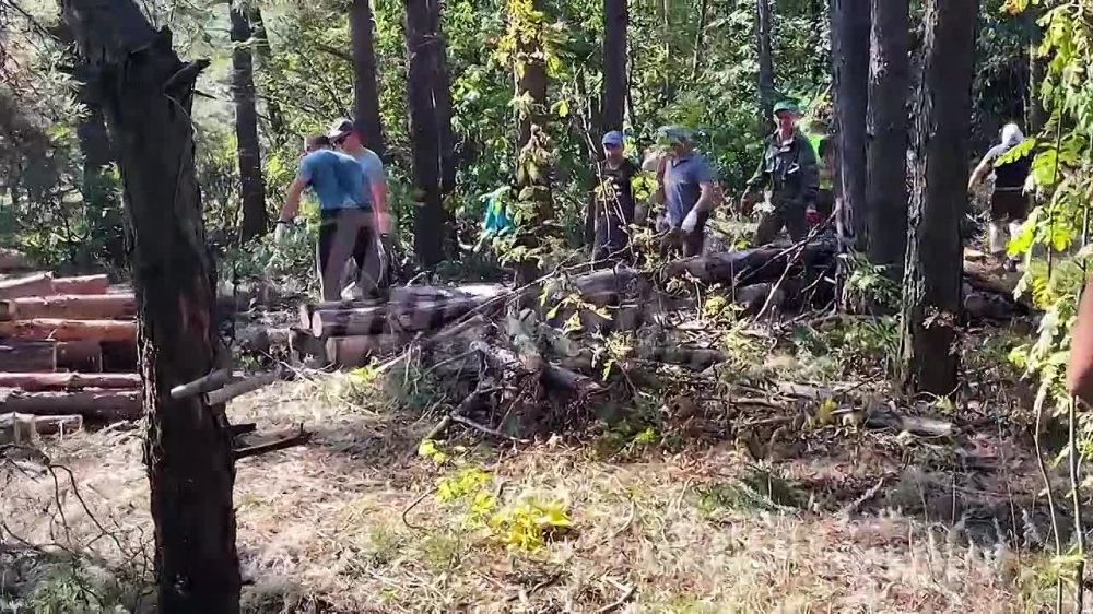 ����� � ������: �������� Readovka �� ������������ �����, ��� ��������� �� ����� ������� (� �� ������) ������������� ������ ��� ���������� ���������