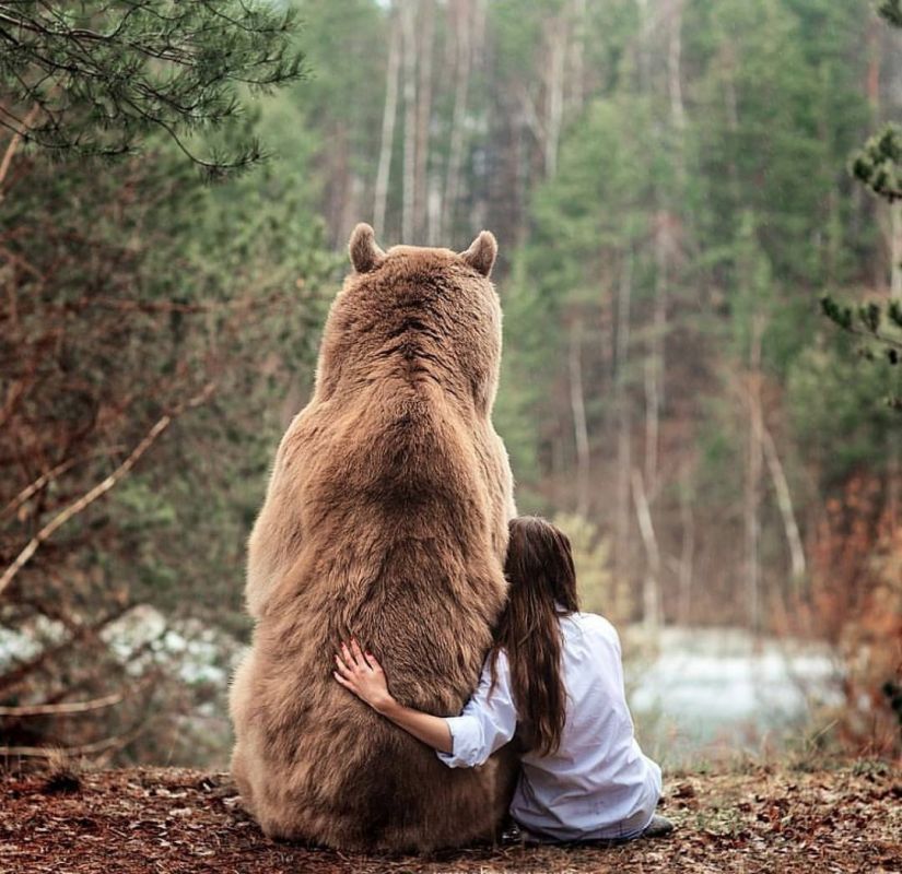 � ������ �����! ���� ����������� ���!