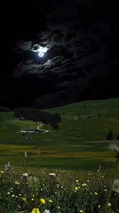 ������ ����!. ������ � ��������: