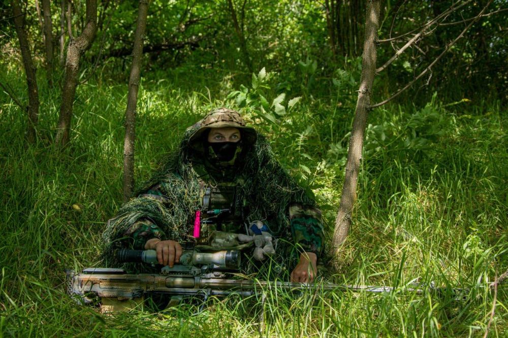 #������Z. ������ ����� �� ������� ������ ������������ ������ ����� ��������� �������� ����������� ���������������� ��������...