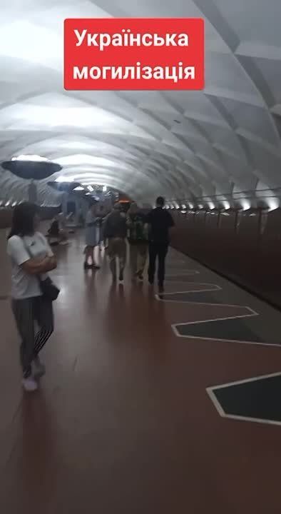 ����������(30.08.23). ����� �����������, ��������� ������� � ��������! ��������� �����-������� ����������� "�����"...