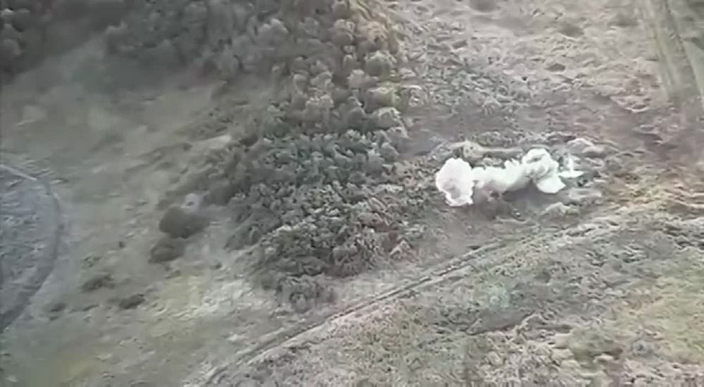 ������ ��� �������� ����������� �������� ����������� ��� ���������� � ������������ ����