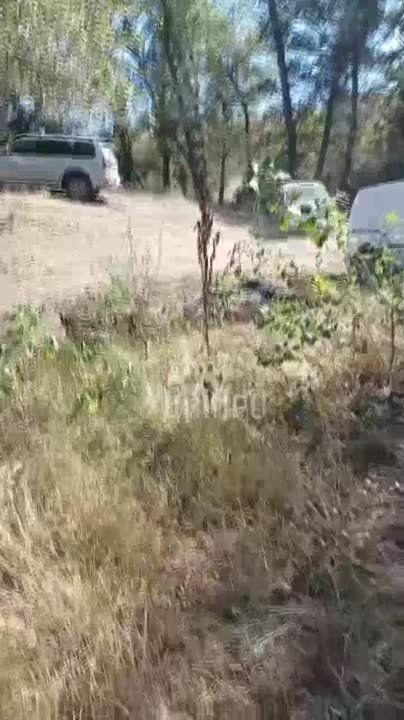 � ���������������� ������� ���������� ���� ����� ����� ��������� ��� ������� �������� �������� � �������� �� ����, �� ��� �������� � ������