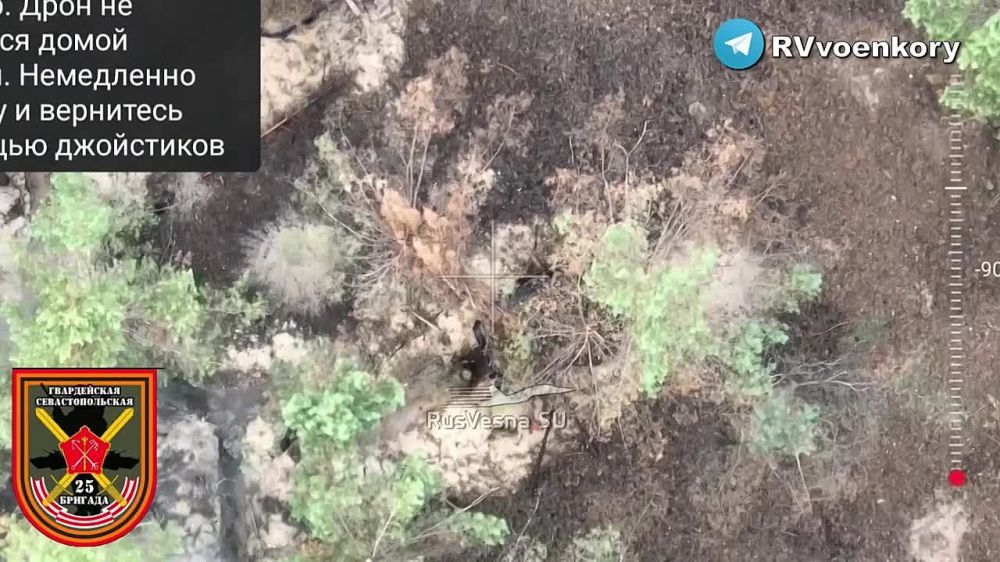 25 ������� ���������� �������� ��� ��������� ������� Mavic