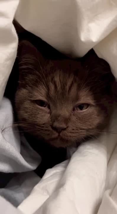 ������ ����, ������� ����������!