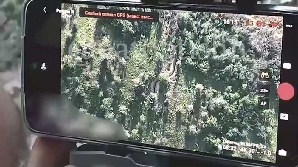 ������ ����� ������ ������� ����� ������� ��������� ���� ��������� ������: ��� ���� �������� � ����� ��� � ������� � ����������