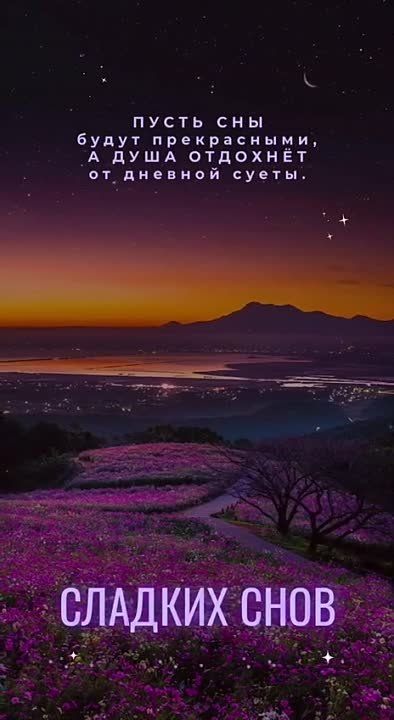 Доброй ночи, Дорогие подписчики!