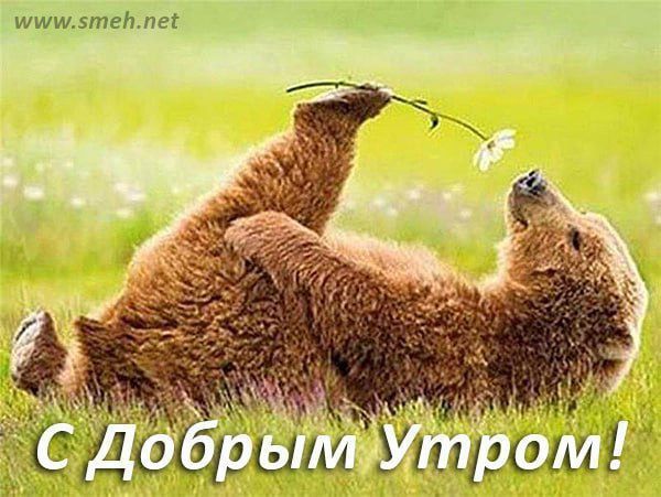 ������ ����!. �������� ���. ������ � �������� �� �������: