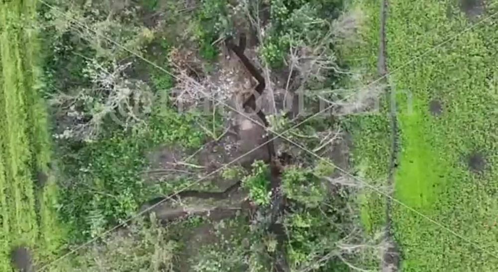 ��������� ���� �������� ����������� ����� ��������� ������� ���� �� ������� ������ ��� � ����������� �������, �� ����� �������� �������� ������ �� ����