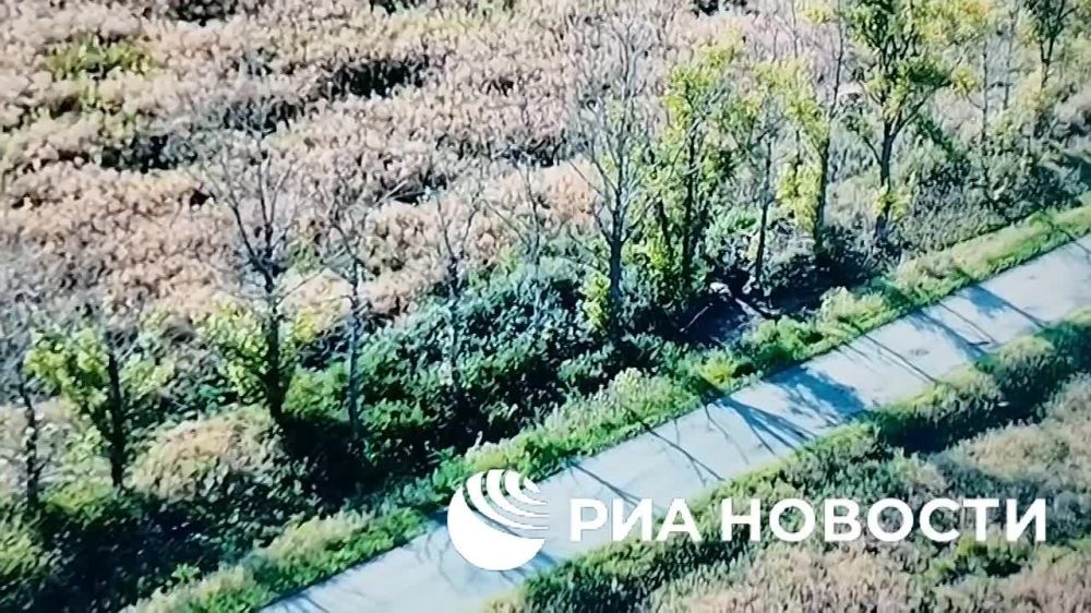 ����-��������� 1-�� �������� ����� ��������� ������� �����