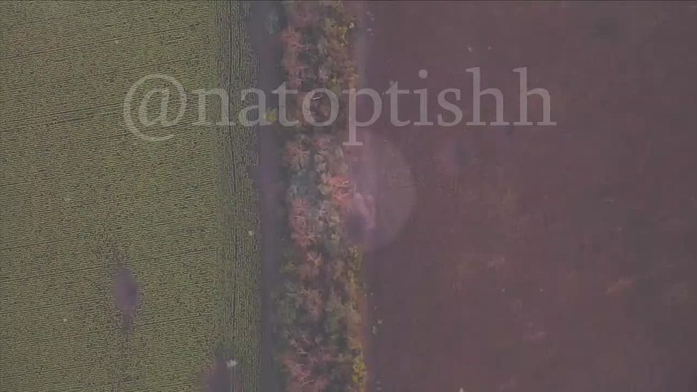 �������� �������� ����������� ����� ��� � ��������� ������ ���������� ������������ ������� �777 � ������ �������� ����������� �������