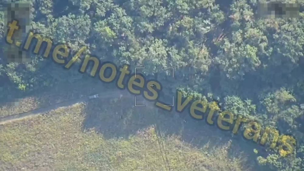 ������� ��������: �� ������� �������� ������������ 3 ��� ���������� ������������� ���������� � ����������� � ����������� �������