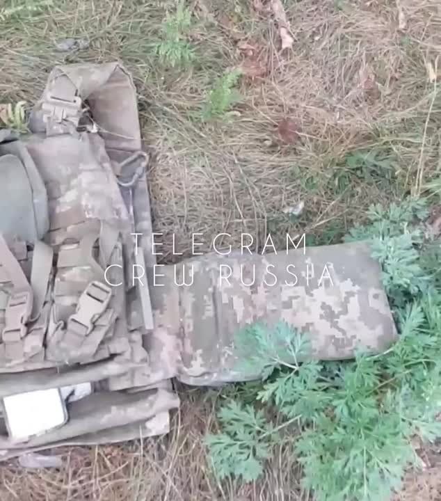 �������������, ��������� �����������