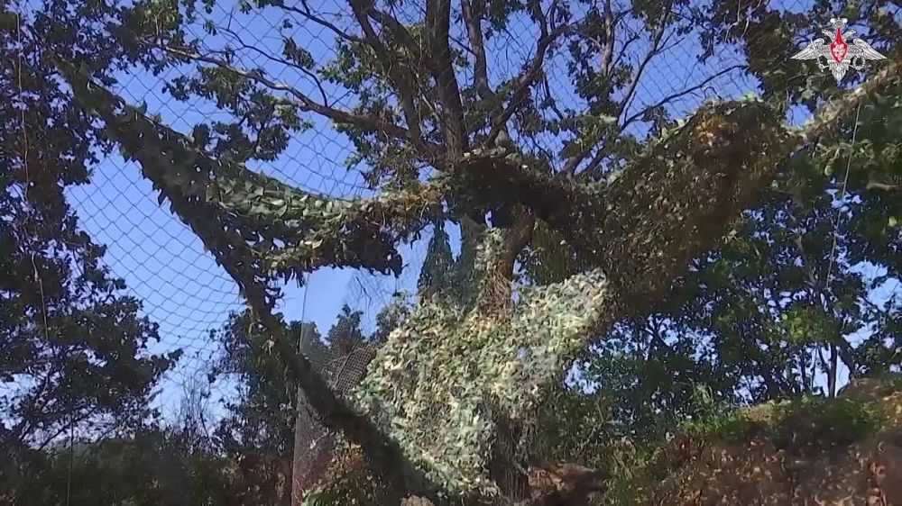 В зоне СВО на Купянском направлении экипажи танков Т-80БВ оказывают огневую поддержку мотострелковым подразделениям