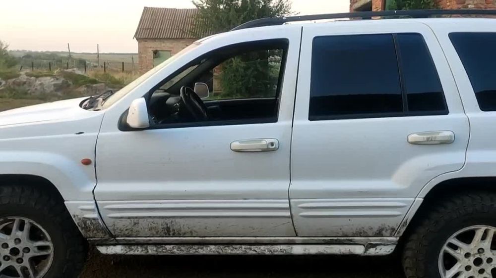 �������� 2023. ������, ����������� �������, ������