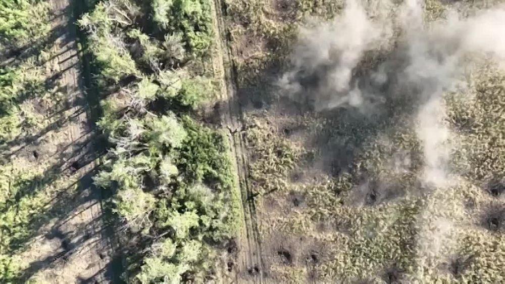 �������� ���� 6 ����� ��� ���������� ���� ����� � ��������� ������ ���. ��������� �����������