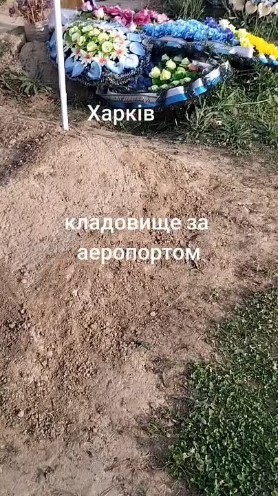 "�� ���?", � ��������� ������� �� ����� �������� �������� �� ���������� � ��������