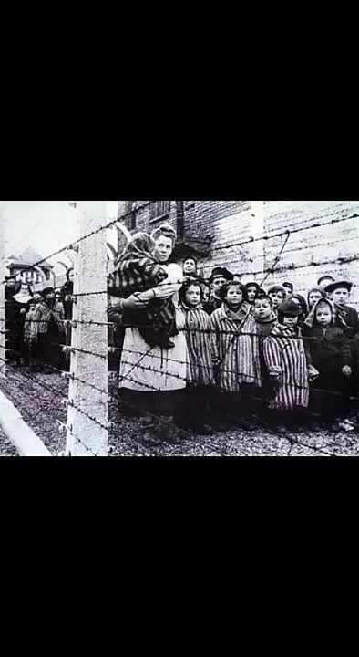 11 �������� � ������������� ���� ������ ����� �������