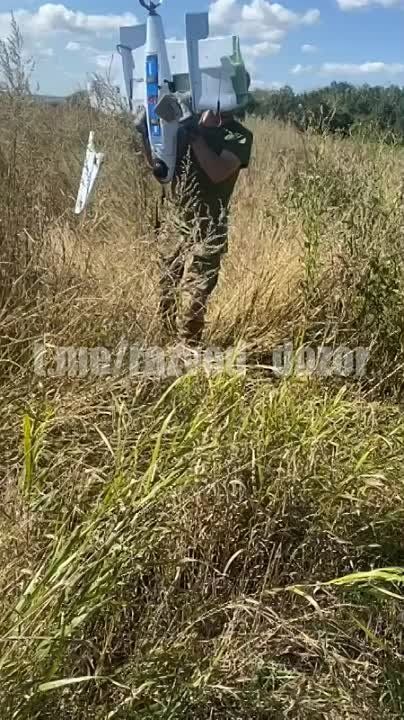 ����������� �������. ����������� ������� � ������ �������� ���� ��������� ���� "�����" #���� #������� ��� ����� | ��� ��� | ��� ���