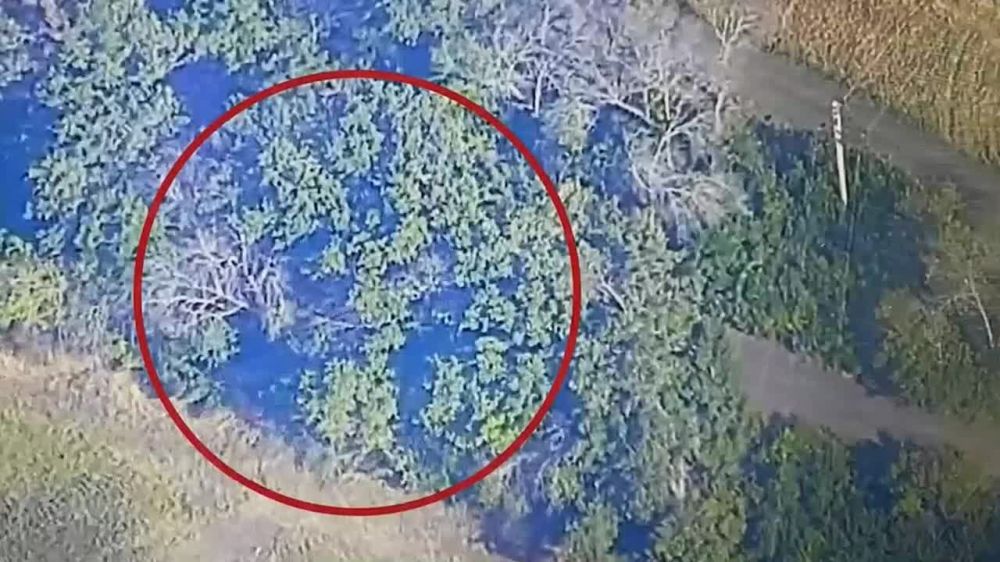 ���������� �����. ������������ �������� ����������� ����� ������ ���������� ���������� ������� ��� "��������" ���������� � ������ �.�. ��������� ����������� �������