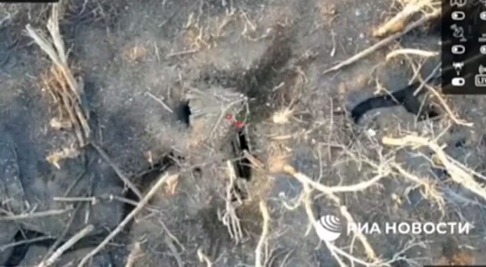 ����� ������ ������ ������������ "������ ��������" �� ��