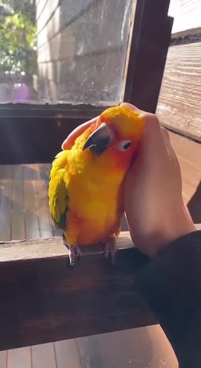 ������ ����! �������������� ���!