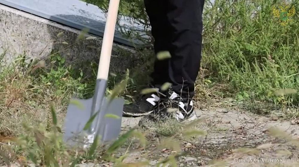 Участники молодежного движения «Время первых» облагородили территорию возле одного из памятников в Купянском районе