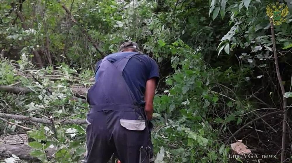 Постепенно готовимся к холодам