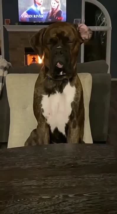 ������ ����! �������� � �������� ���