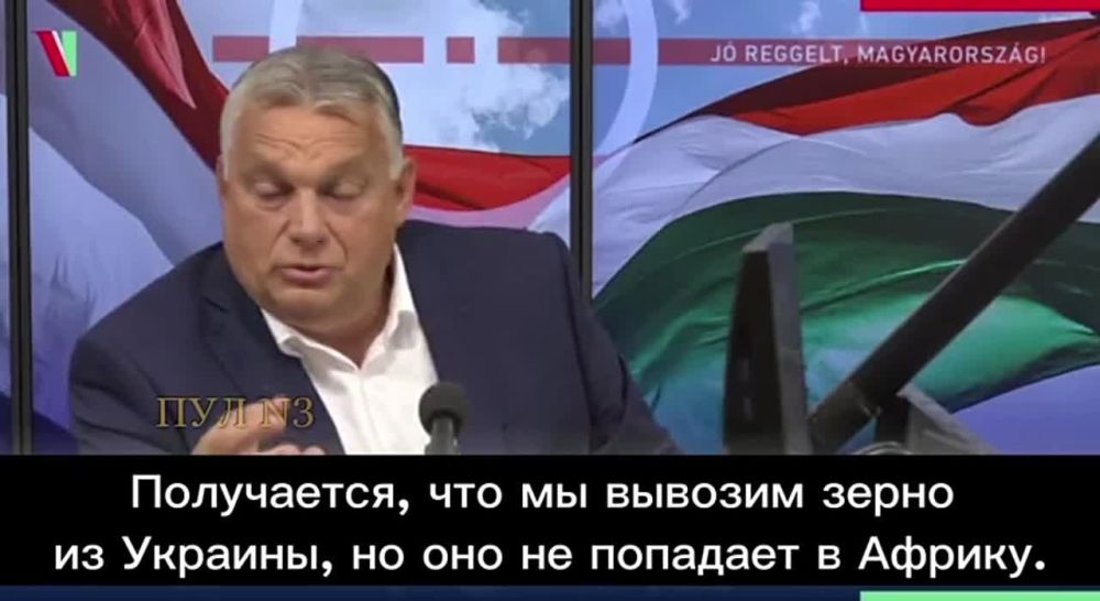 ������� ������� ����� �������� ������ � ������������� ����������� � ������� ����������� �����