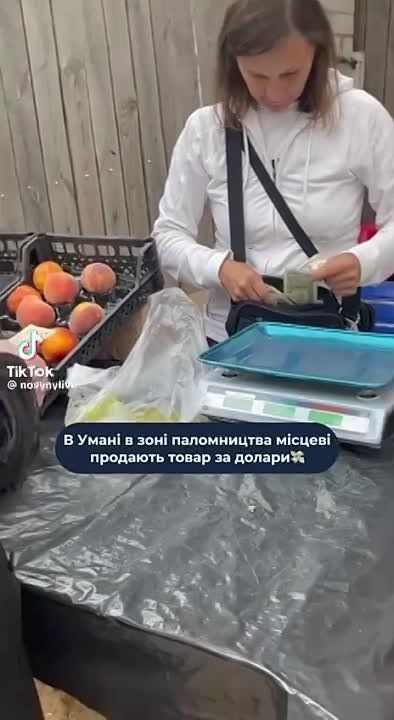 ����� �������� ������� � ����� ��������